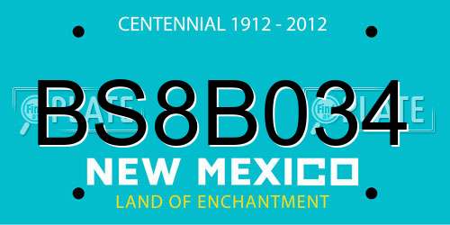BS8B034 New Mexico License Plate