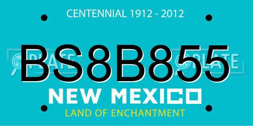 BS8B855 New Mexico License Plate
