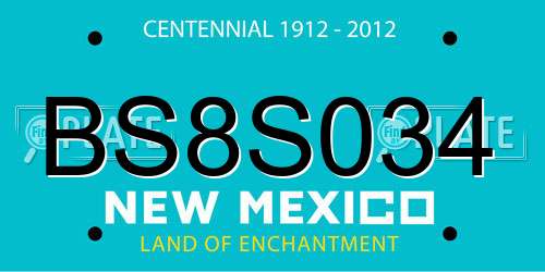 BS8S034 New Mexico License Plate