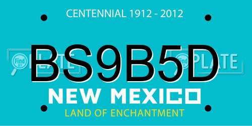 BS9B5D New Mexico License Plate