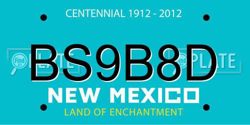 BS9B8D New Mexico License Plate
