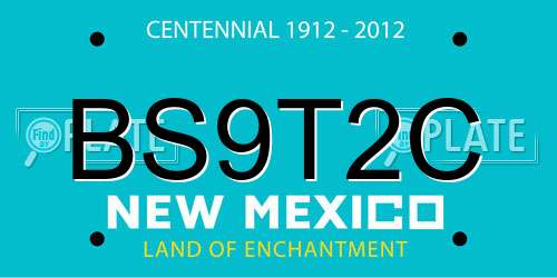 BS9T2C New Mexico License Plate