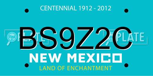 BS9Z2C New Mexico License Plate