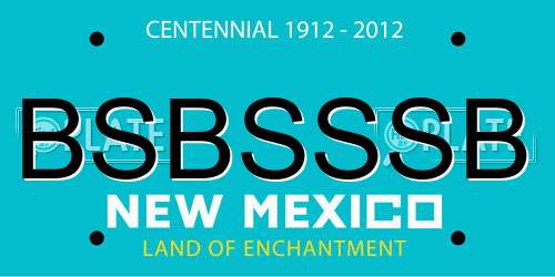 BSBSSSB New Mexico License Plate