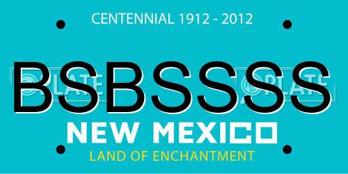 BSBSSSS New Mexico License Plate