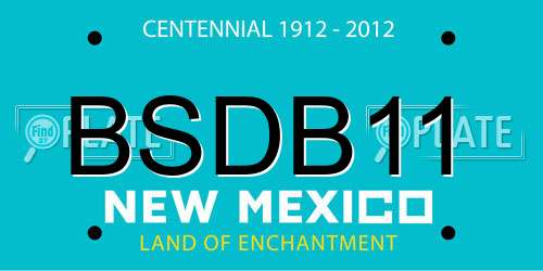 BSDB11 New Mexico License Plate