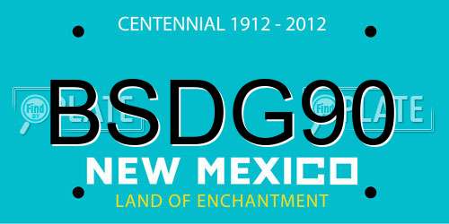 BSDG90 New Mexico License Plate