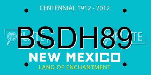 BSDH89 New Mexico License Plate