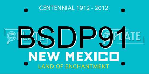 BSDP91 New Mexico License Plate