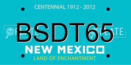 BSDT65 New Mexico License Plate