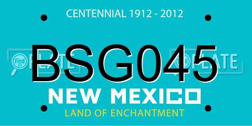 BSG045 New Mexico License Plate