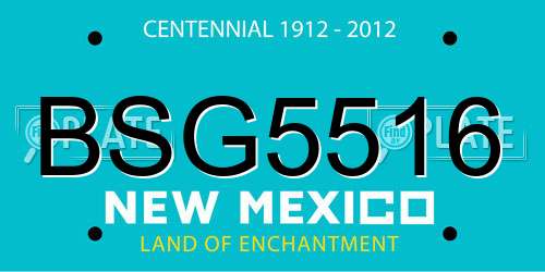 BSG5516 New Mexico License Plate