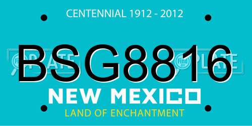 BSG8816 New Mexico License Plate