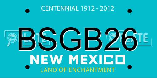 BSGB26 New Mexico License Plate