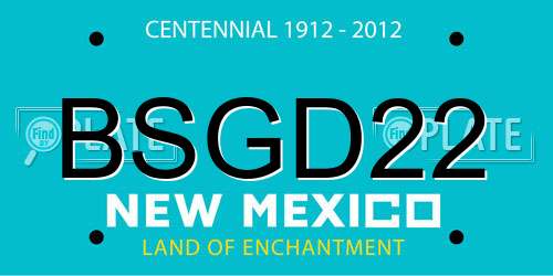 BSGD22 New Mexico License Plate