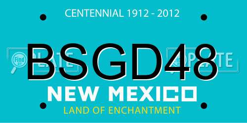 BSGD48 New Mexico License Plate