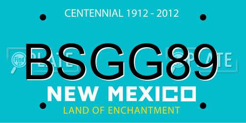 BSGG89 New Mexico License Plate
