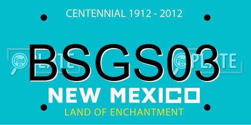 BSGS03 New Mexico License Plate