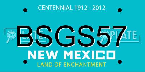 BSGS57 New Mexico License Plate