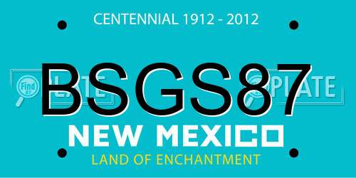 BSGS87 New Mexico License Plate