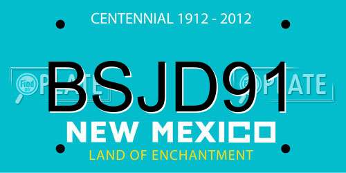 BSJD91 New Mexico License Plate