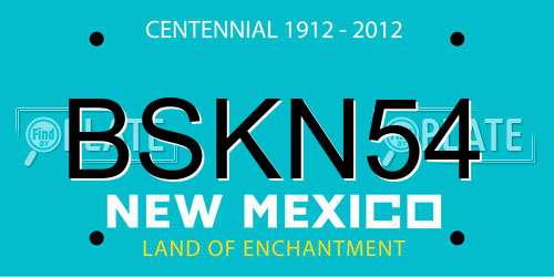 BSKN54 New Mexico License Plate