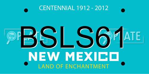 BSLS61 New Mexico License Plate