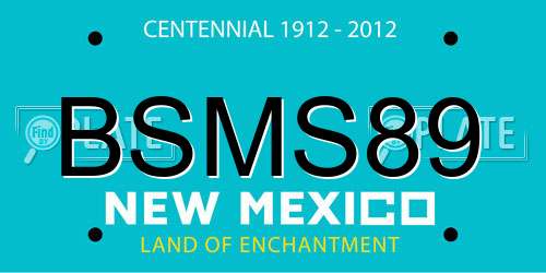 BSMS89 New Mexico License Plate