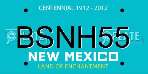 BSNH55 New Mexico License Plate
