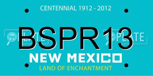 BSPR13 New Mexico License Plate