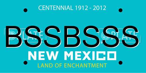 BSSBSSS New Mexico License Plate