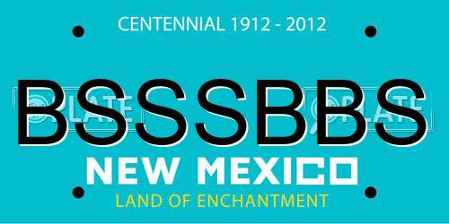 BSSSBBS New Mexico License Plate