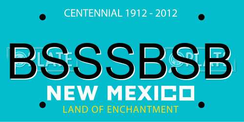 BSSSBSB New Mexico License Plate