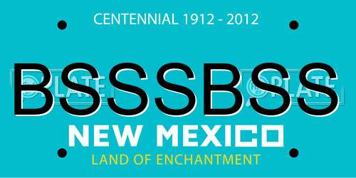 BSSSBSS New Mexico License Plate
