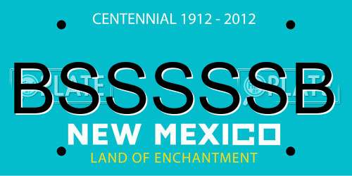 BSSSSSB New Mexico License Plate