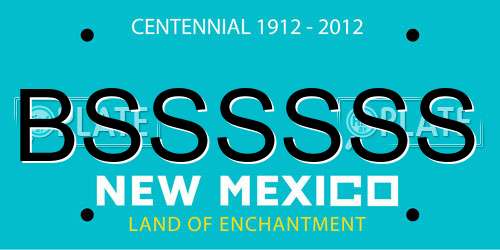 BSSSSSS New Mexico License Plate