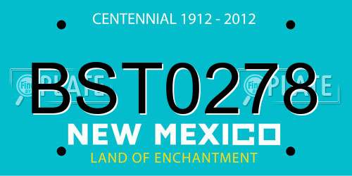 BST0278 New Mexico License Plate