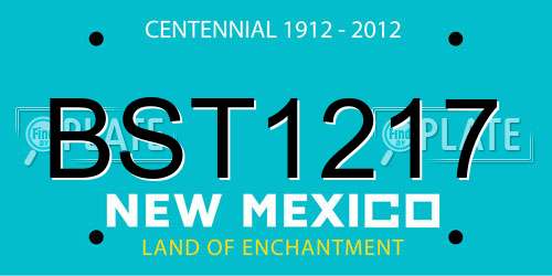 BST1217 New Mexico License Plate