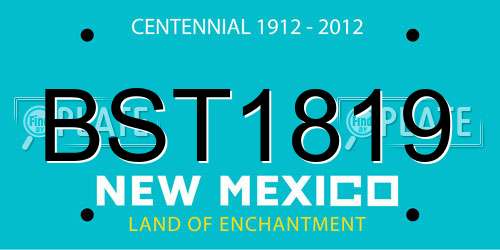 BST1819 New Mexico License Plate