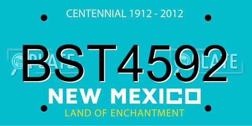 BST4592 New Mexico License Plate
