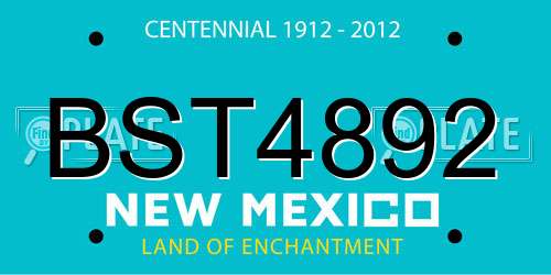 BST4892 New Mexico License Plate