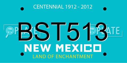 BST513 New Mexico License Plate