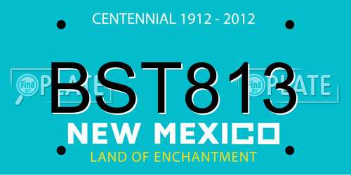 BST813 New Mexico License Plate