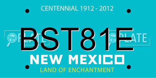BST81E New Mexico License Plate