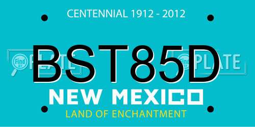 BST85D New Mexico License Plate