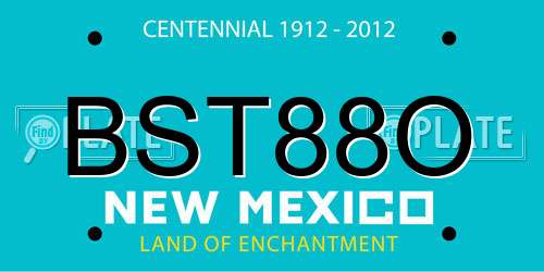 BST88O New Mexico License Plate