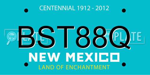 BST88Q New Mexico License Plate