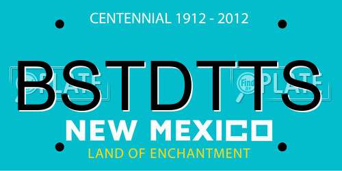 BSTDTTS New Mexico License Plate