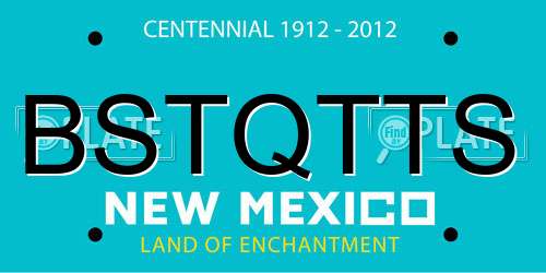 BSTQTTS New Mexico License Plate