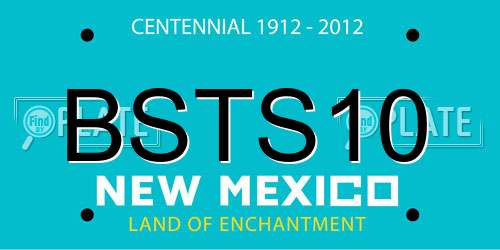 BSTS10 New Mexico License Plate